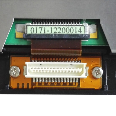 PD064VT8 LCD স্ক্রীন ডিসপ্লে মডিউল প্যানেল 6.4 ইঞ্চি RGB 640X480