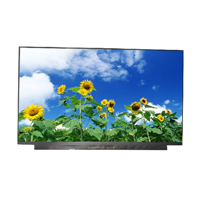 AUO উল্লম্ব স্ট্রাইপ 15.6 ইঞ্চি LCD প্যানেল B156HAN13.0 10pins LCD স্ক্রীন