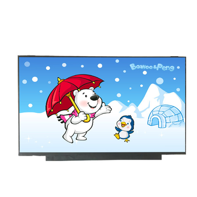 AUO উল্লম্ব স্ট্রাইপ 15.6 ইঞ্চি LCD প্যান B156HTN06.1 1920*1080 141PPI