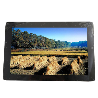 10.1 ইঞ্চি 1280*800 149PPI B101EAN01.7 34 পিন এলসিডি স্ক্রিন