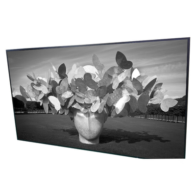 42.0 ইঞ্চি 1920*1080 LCD স্ক্রিন P420HVN01.0 ডিজিটাল সাইনেজ ডিসপ্লে প্যানেল
