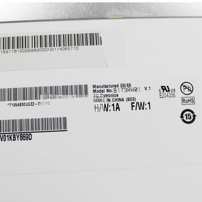AUO B173RW01 V1 এর জন্য 17.3 ইঞ্চি 106PPI এলসিডি ডিসপ্লে