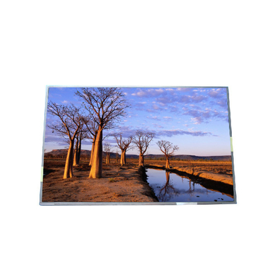 RGB 1440*900 B170PW03 V9 99PPI টিএফটি এলসিডি প্যানেল