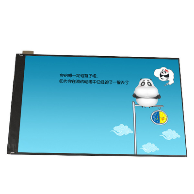 B101UAN07.1 10.1 ইঞ্চি 1000:1 1200*1920 এলসিডি স্ক্রিন ডিসপ্লে