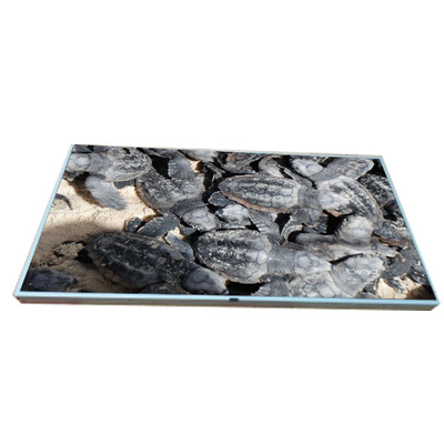 LM215WF2-SLA1 মূল স্টক 21.5 ইঞ্চি এলসিডি ডিসপ্লে স্ক্রিন