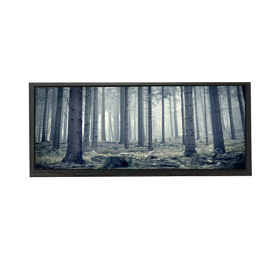 AV103Z7M-N13-3850 10.3 ইঞ্চি এলসিডি স্ক্রিন ডিসপ্লে এলসিডি মডিউল