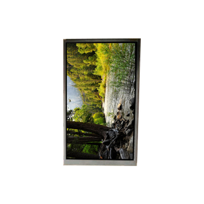 BA050WQ2-200 5.0 ইঞ্চি 480 * 272 এলসিডি স্ক্রিন পোর্টেবল নেভিগেশন জন্য
