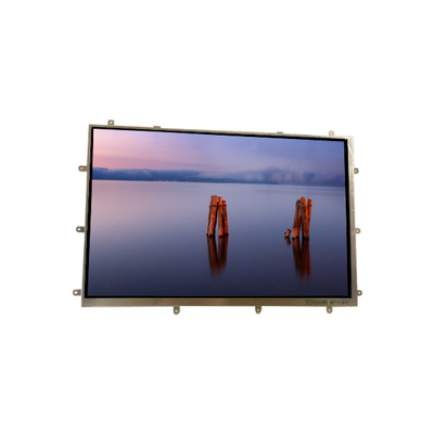 BP101WX1-205 10.1 ইঞ্চি এলসিডি স্ক্রিন মডিউল ট্যাবলেট জন্য এলসিডি প্যানেল