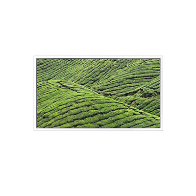 DV320WHD-NT0 32.0 ইঞ্চি 1366*768 এলসিডি স্ক্রিন স্বচ্ছ প্রদর্শনের জন্য