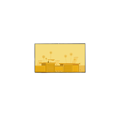 GV050WVM-A81 800*480 5.0 ইঞ্চি এলসিডি টাচ স্ক্রিন