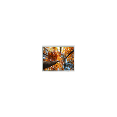 7.0 ইঞ্চি AM-800480AFTMQW-00H 800*480 এম্পায়ারের জন্য এলসিডি স্ক্রিন