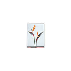 9.0 ইঞ্চি C090NWP1 R0 800*480 টিএফটি এলসিডি ডিসপ্লে প্যানেল