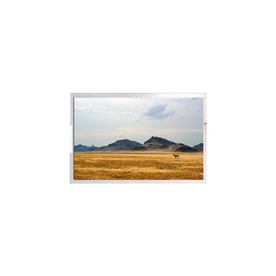 TFT7D0906-A LCD স্ক্রিন ডিসপ্লে 6.3 ইঞ্চি LCD মডিউল প্যানেল