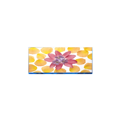 E102AWF6 R1 10.2 ইঞ্চি 1920 * 532 এলসিডি স্ক্রিন প্রদর্শন