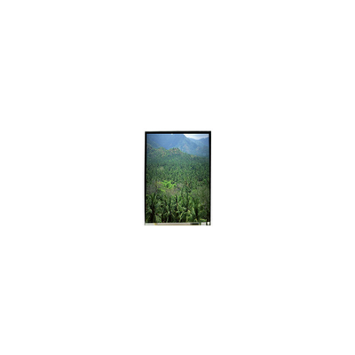 LS055B3SX04Z 5.5 ইঞ্চি 1920 * 3664 টিএফটি এলসিডি স্ক্রিন প্যানেল