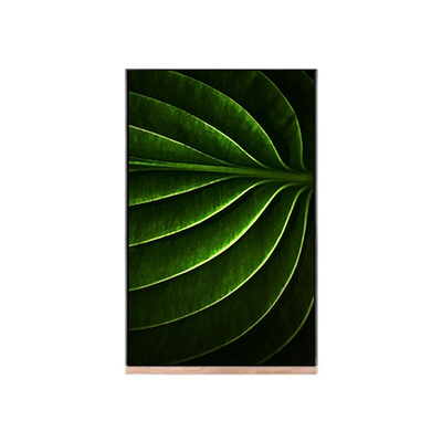 এলসিডি মডিউল NV101WUM-N53 এর জন্য 10.1 ইঞ্চি এলসিডি স্ক্রিন