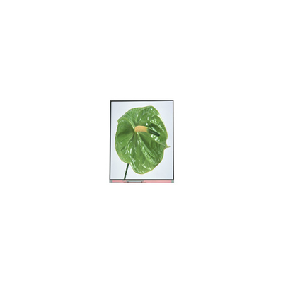 C050SWYM-0 5.0 ইঞ্চি 480*960 এলসিডি স্ক্রিন ফোনের জন্য