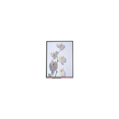 C060SWR6-1 6.0 ইঞ্চি 720*1528 এলসিডি স্ক্রিন প্যানেল