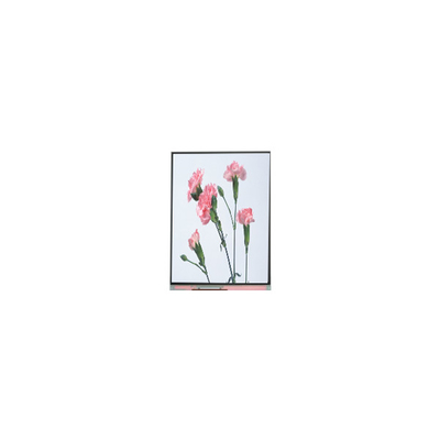 C060SWA3-3 6.0 ইঞ্চি 720*1280 এলসিডি স্ক্রিন ফোনের জন্য