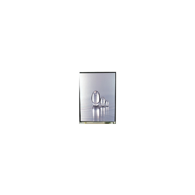 LS038Y7DX01 3.8 ইঞ্চি 480*800 এলসিডি স্ক্রিন ডিসপ্লে