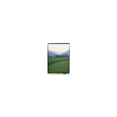 KHS038AA1AC-G83 3.8 ইঞ্চি 240*320 এলসিডি স্ক্রিন ডিসপ্লে
