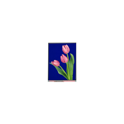 নতুন 5.4 ইঞ্চি C054SWZ4-1 540*960 এলসিডি স্ক্রিন
