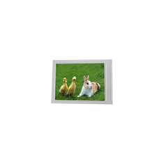 F06008-02U 540*960 6.0 ইঞ্চি টিএফটি এলসিডি স্ক্রিন প্যানেল