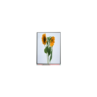 9.0 ইঞ্চি আইভিও এলসিডি প্যানেল C090SWT3-0 1024*600 এলসিডি ডিসপ্লে মডিউল