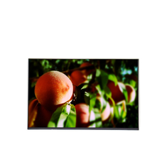 স্টক M190PTN01.1 CELL 19.0 ইঞ্চি 1440*900 এলসিডি ডিসপ্লে স্ক্রিন