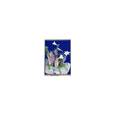 C054SWN1 R0 tft LCD স্ক্রিন ডিসপ্লে 5.4 ইঞ্চি LCD প্যানেল