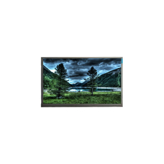 M215HGG-L10 21.5 ইঞ্চি 1920*1080 ডেস্কটপ মনিটরের জন্য LCD স্ক্রিন