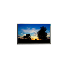 M101NWT2 R4 10.1 ইঞ্চি 1024 * 600 নেটবুক পিসির জন্য এলসিডি স্ক্রিন প্রদর্শন
