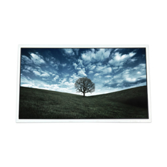 HT236F01-100 1920*1080 23.6 ইঞ্চি এলসিডি স্ক্রিন মনিটর