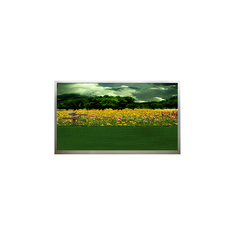 15.6 ইঞ্চি N156B3-L01 1366*768 60Hz এলসিডি স্ক্রিন স্টক