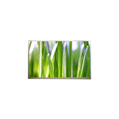 N154Z3-L03 15.4 ইঞ্চি 30 পিনস এলসিডি প্যানেল ডিসপ্লে স্ক্রিন