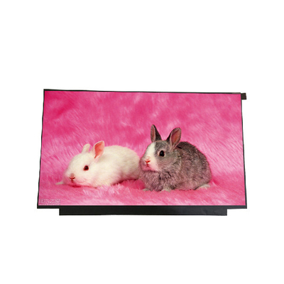 15.6 ইঞ্চি 1366x768 LED নোটবুক LCD স্ক্রীন ডিসপ্লে B156XTN01.0