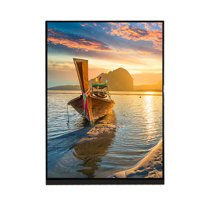 ভালো দাম 7.9 ইঞ্চি 1536×2048 LCD স্ক্রীন ডিসপ্লে প্যানেল LQ079L1SX01 IPad Mini 2 3 এর জন্য অনলাইন