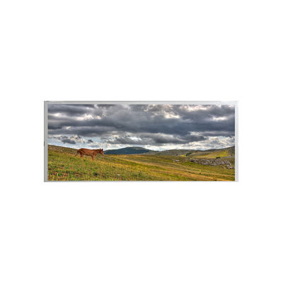 ভালো দাম AMPIRE 19.1 ইঞ্চি ইন্ডাস্ট্রিয়াল LCD স্ক্রিন AM-1920360ATZQW-00 অনলাইন