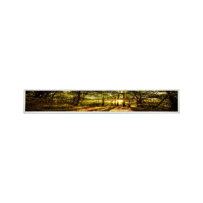 ভালো দাম LSI290LN01 29 ইঞ্চি a-Si TFT-LCD LCM ডিসপ্লে মডিউল অনলাইন