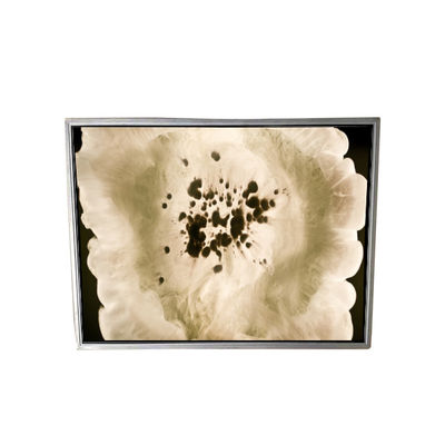 ভালো দাম 120PPI NL204153BM21-05A এলসিডি মেডিকেল স্ক্রিন অনলাইন