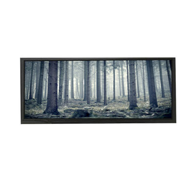 ভালো দাম AV103Z7M-N13-3850 10.3 ইঞ্চি এলসিডি স্ক্রিন ডিসপ্লে এলসিডি মডিউল অনলাইন