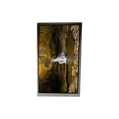 ভালো দাম BA050WQ4-100 5.0 ইঞ্চি 480*272 এলসিডি স্ক্রিন পোর্টেবল নেভিগেশনের জন্য অনলাইন