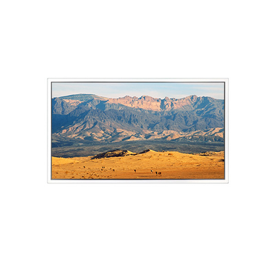 ভালো দাম ৪৯ ইঞ্চি ৩৮৪০*২১৬০ DV490QUB-N8A ডিজিটাল সিগনেজের জন্য এলসিডি স্ক্রিন অনলাইন