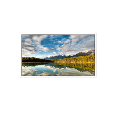 ভালো দাম 55 ইঞ্চি DV550FHB-N30 1920*1080 এলসিডি স্ক্রিন স্বচ্ছ প্রদর্শনের জন্য অনলাইন