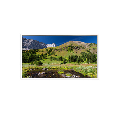 ভালো দাম DV550QUB-N20 ৩৮৪০*২১৬০ ৫৫ ইঞ্চি এলসিডি স্ক্রিন অনলাইন