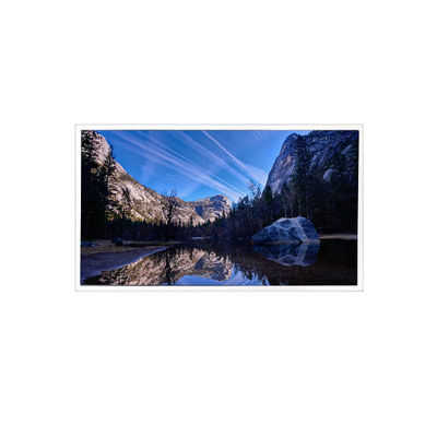 ভালো দাম 10.1 ইঞ্চি 1920*1200 EV101WUM-N81 1000:1 এলভিডিএস এলসিডি প্যানেল অনলাইন