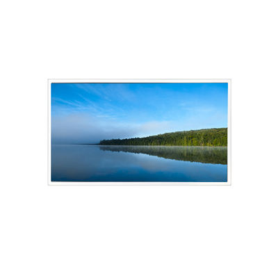 ভালো দাম 15.0 ইঞ্চি TDA150-004 1024*768 300 cd/m2 WLED LCD প্যানেল মনিটর অনলাইন