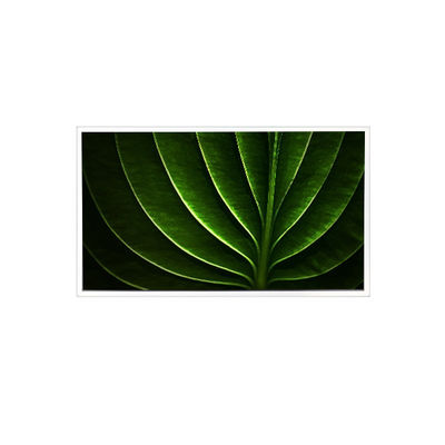 ভালো দাম TAD201-001 20.1 ইঞ্চি 1600*1200 450 cd/m2 60Hz এলসিডি স্ক্রিন শিল্পের জন্য অনলাইন