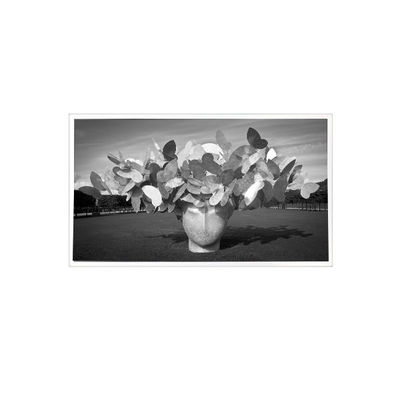 ভালো দাম 1280*1024 3.8 ইঞ্চি TPA038-001 800:1 এলসিডি স্ক্রিন প্যানেল প্রদর্শন অনলাইন