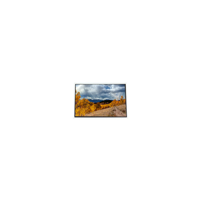 ভালো দাম A070STN01.1 1024*600 7.0 ইঞ্চি 60Hz LCD স্ক্রিন MID UMPC এর জন্য অনলাইন